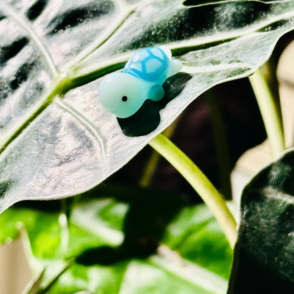 🍃10 pack PLANT MAGNETS!🍃 - Picture 9 of 14